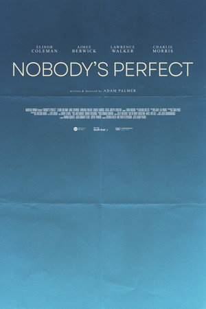 Nobody's Perfect poster