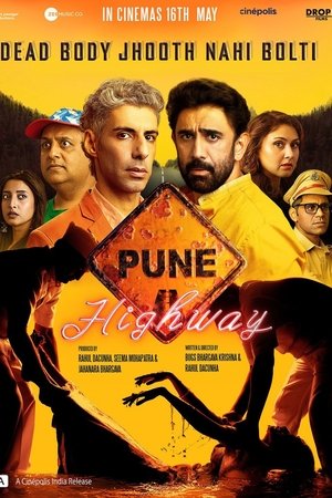 Download Pune Highway 2025 Hindi Full Movie WEB-DL 480p 720p 1080p BollyFlix