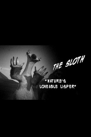The Sloth 