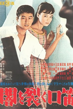 Yami wo saku kuchibue