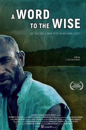 A Word to the Wise poster