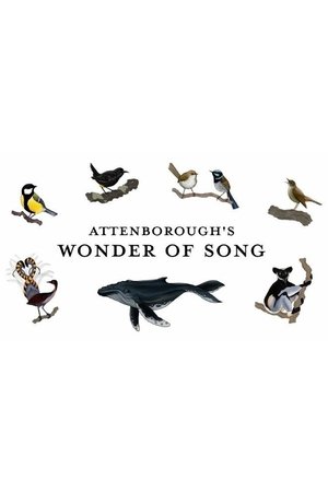 Attenborough's Wonder of Song