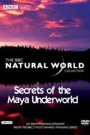 Poster of Secrets Of The Maya Underworld