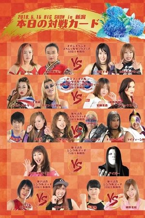 Sendai Girls Joshi Puroresu Big Show 2018 In Niigata