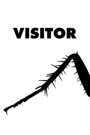 Visitor poster