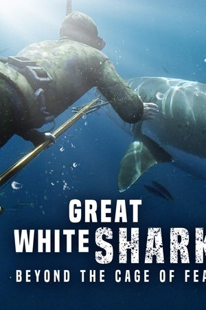 Great White Shark: Beyond the Cage of Fear