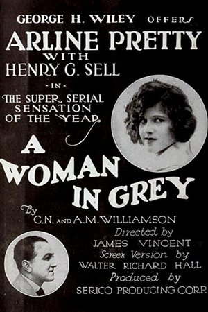 A Woman in Grey