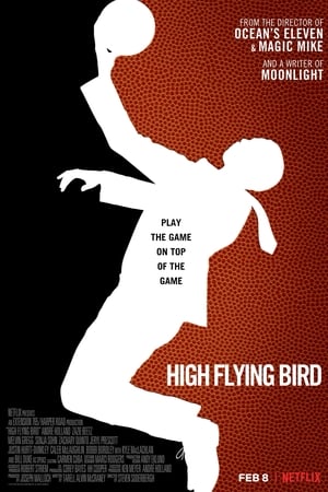 Imagem High Flying Bird