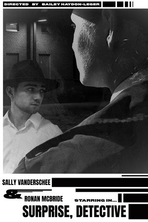 Surprise Detective