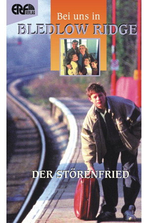 Der Störenfried poster