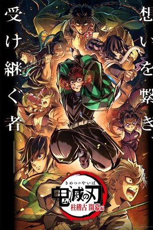 Demon Slayer: Kimetsu no Yaiba Special Edition Hashira Training Arc Part 1