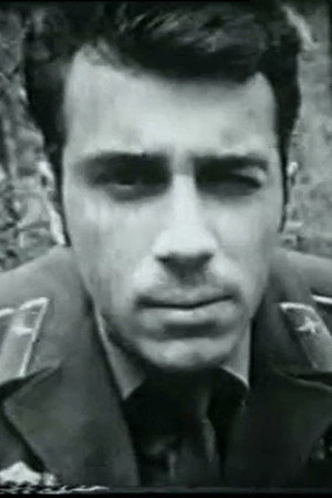 Forest Patrol poster