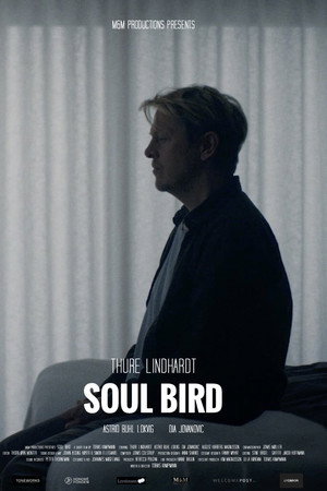 Soul Bird