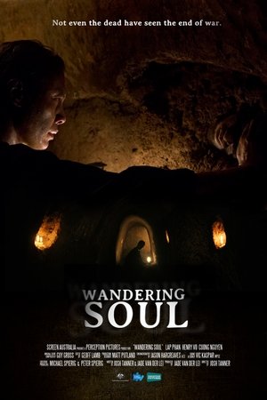 Wandering Soul
