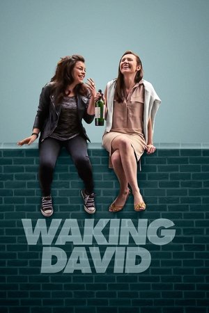Waking David