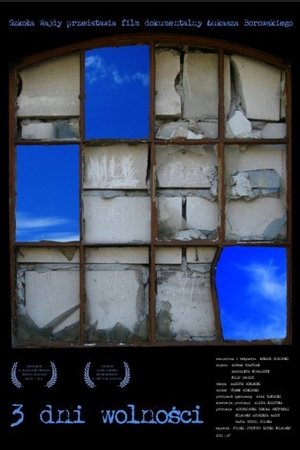 Poster of Three Days of Freedom