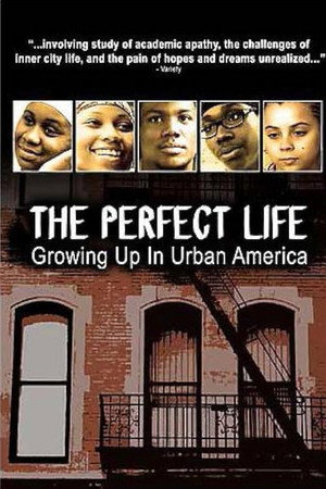 The Perfect Life poster