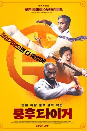 쿵후 타이거