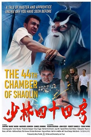 The 44th Chamber of Shaolin