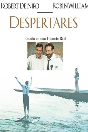 Despertares (1990)