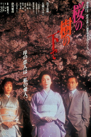 Cherry Blossoms