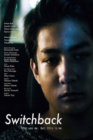 Switchback poster