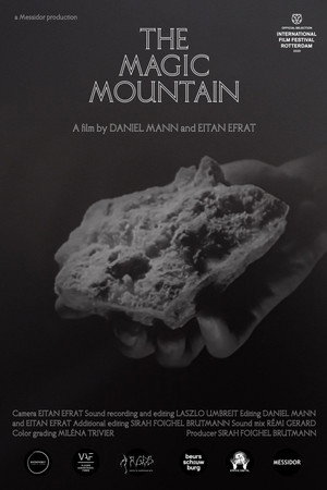 The Magic Mountain poster