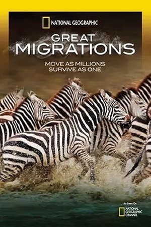 Great-Migrations-(2010)