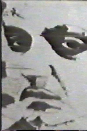 Goffredo poster