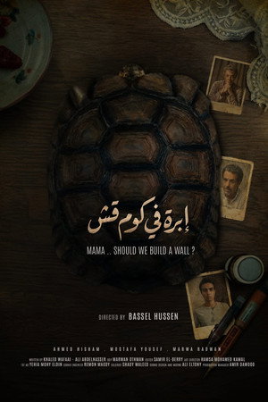 إبرة في كوم قش