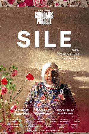 Şile poster