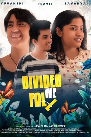 Divided We Fall