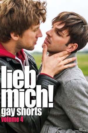 LIEB MICH! - Gay Shorts Volume 4 poster