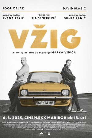 Vžig