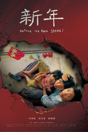 Before The Rain Stops poster