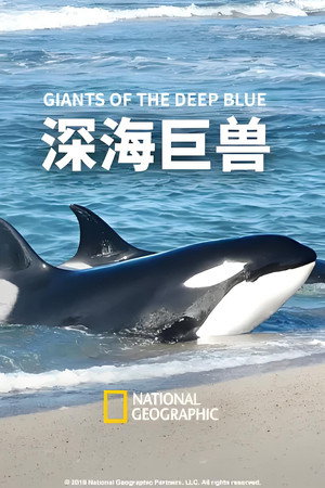 Beasts of the Big Blue