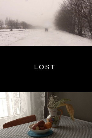 Lost poster