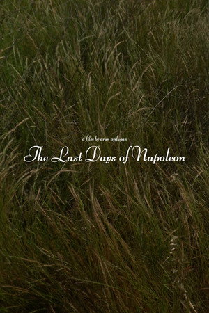 The Last Days of Napoléon The Last Days of Napoléon