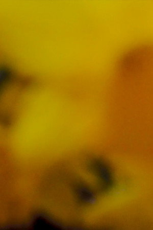 In Passing poster