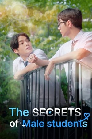 The Secret of Male Students