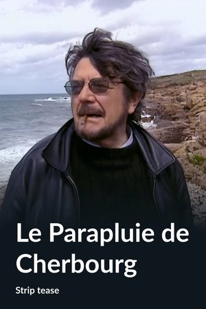 Le parapluie de Cherbourg