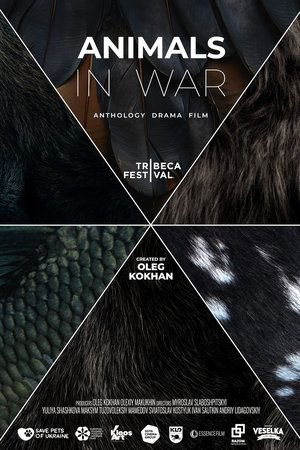 Animals in War