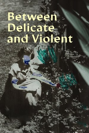 Poster of Between Delicate and Violent