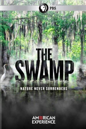 The Swamp The Swamp