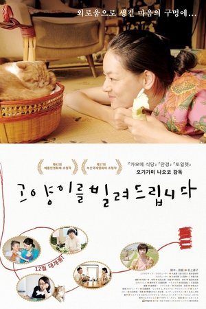 고양이를 빌려드립니다