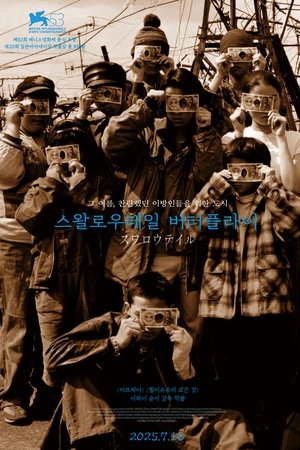 스왈로우테일 버터플라이