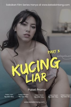 Kucing Liar Part 3