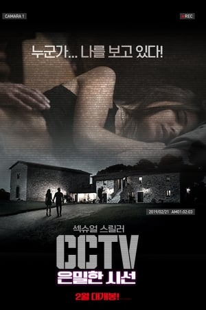 CCTV: 은밀한 시선