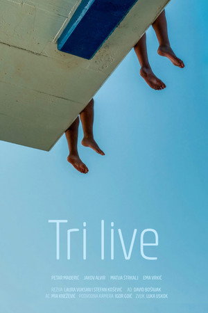 Three Left Feet poster