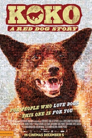 Koko: A Red Dog Story (2019) Koko: A Red Dog Story (2019)